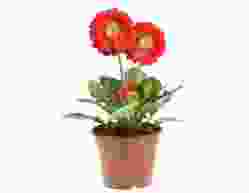 flower-img4